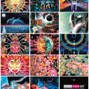 Set of 14 UV-Blacklight & Glow-In-The-Dark Postcards